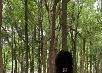 所有醋意都从51.fun苹果版开始，快点来围观！