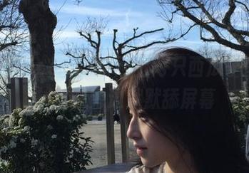“cgw”官网上两只西瓜争风吃醋，我在旁边默默舔屏幕