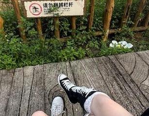 别忘了登录，吃瓜网的大本营又放大招了！