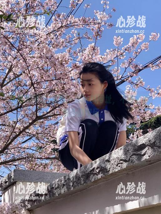 在线一探黑料网址，不意外却意外的好玩